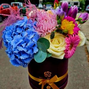 florarie focsani