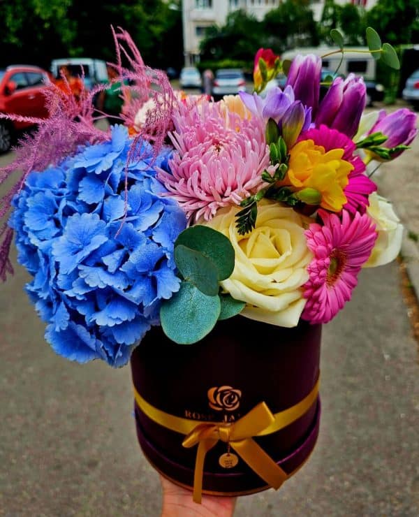 florarie focsani