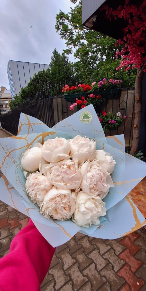 buchet bujori